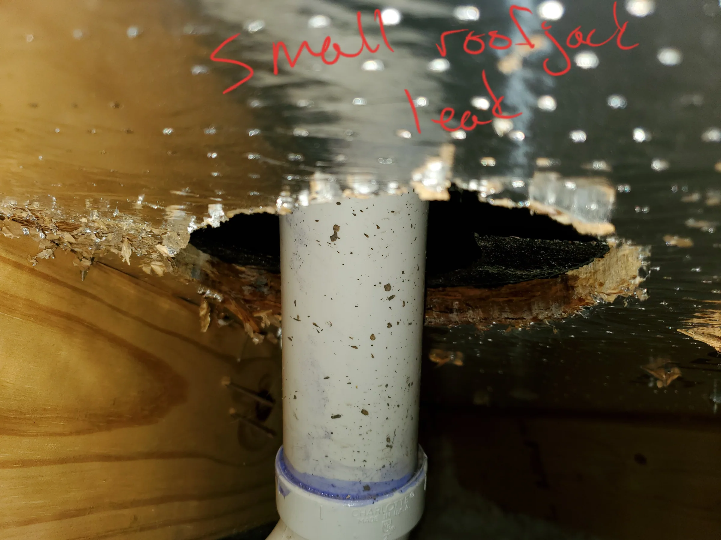 Moisture and leak diagnostic work at the leak source, in daylight during leak diagnostics