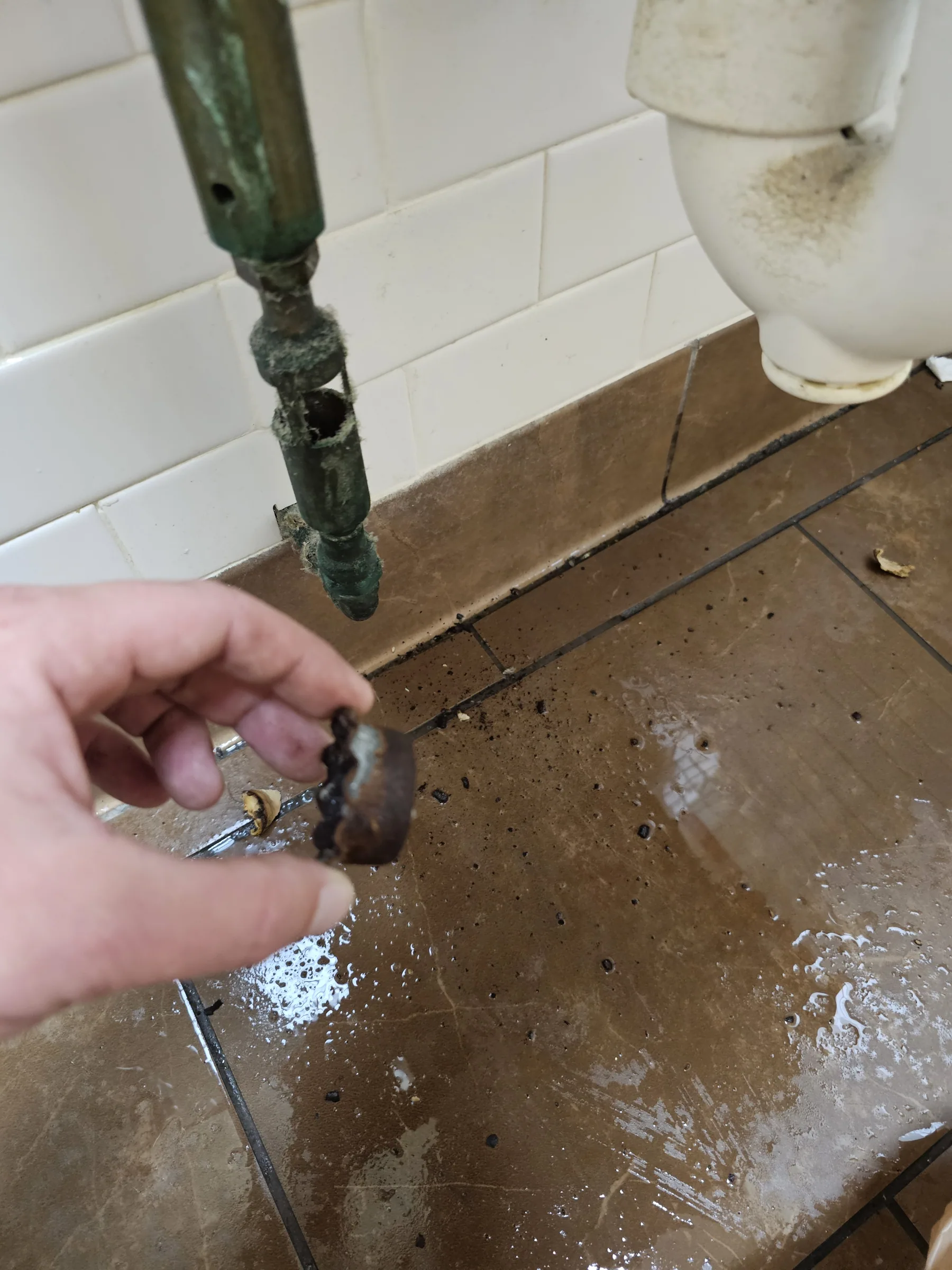 Moisture and leak diagnostic work showing water staining, in daylight during leak diagnostics
